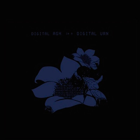 I’m-Wide-Awake,-It’s-Morning