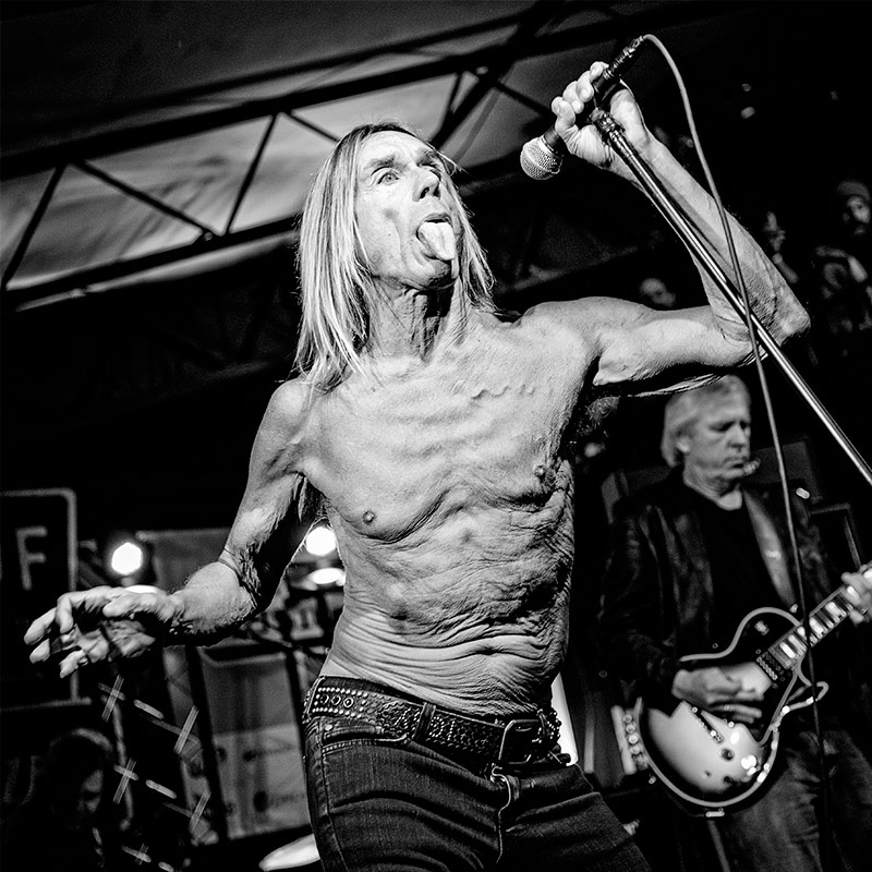 Iggy Pop - Juan Pérez-Fajardo