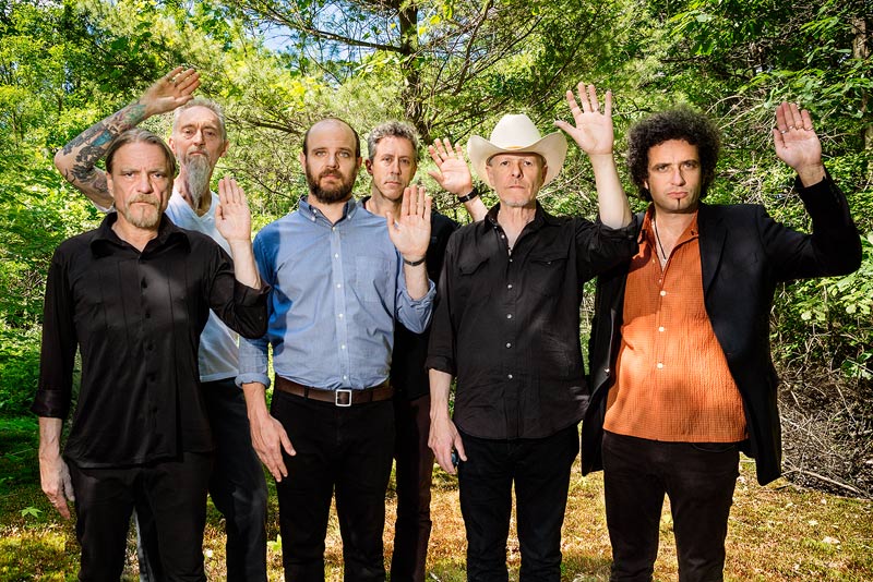 2_Swans-0049_CreditSamanthaMarble