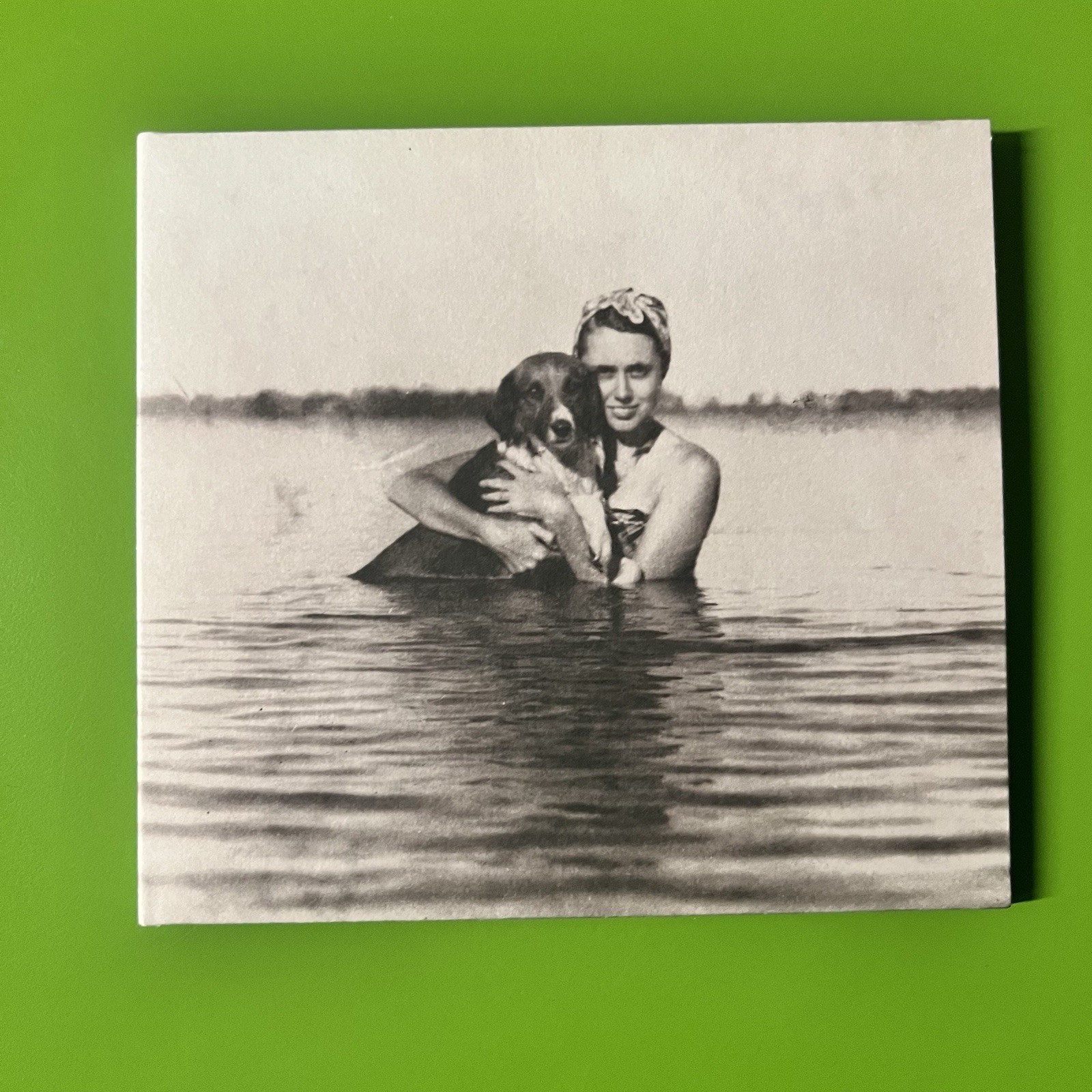 Thurston Moore ‎– The Best Day CD Sonic Youth 2014 Matador Indie Rock Folk Album