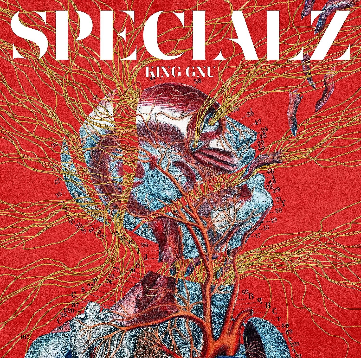 Jujutsu Kaisen season 2 OP Theme - SPECIALZ King Gnu Single CD
