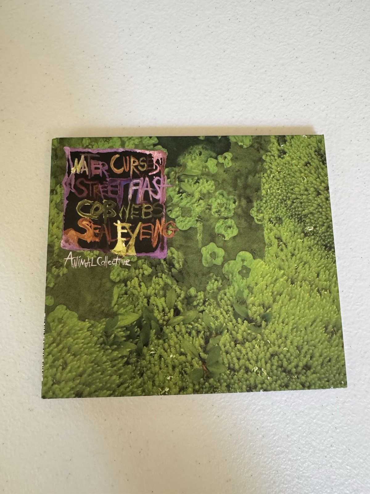 Animal Collective Water Curses Street Flash Cobwebs Seal Eyeing CD 2008