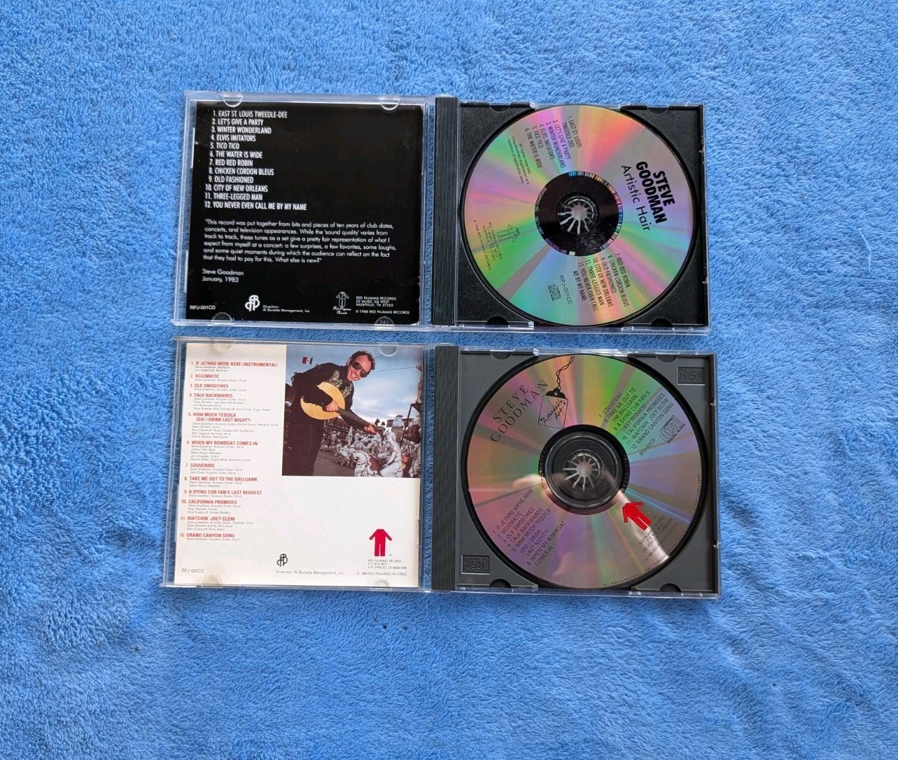 STEVE GOODMAN 2 CD Folk Country Singer Songwriter Affordable Art Artistic Hair