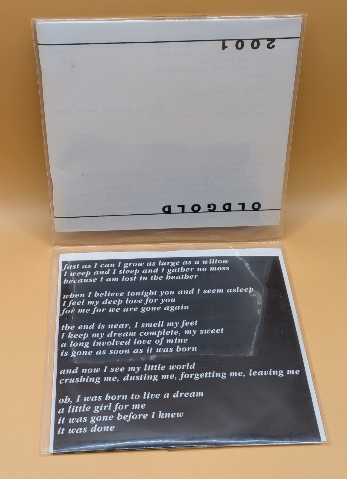 Tim Foljahn Obvious Urban Landscape CD 2001 Old Gold Experimental Indie Rare