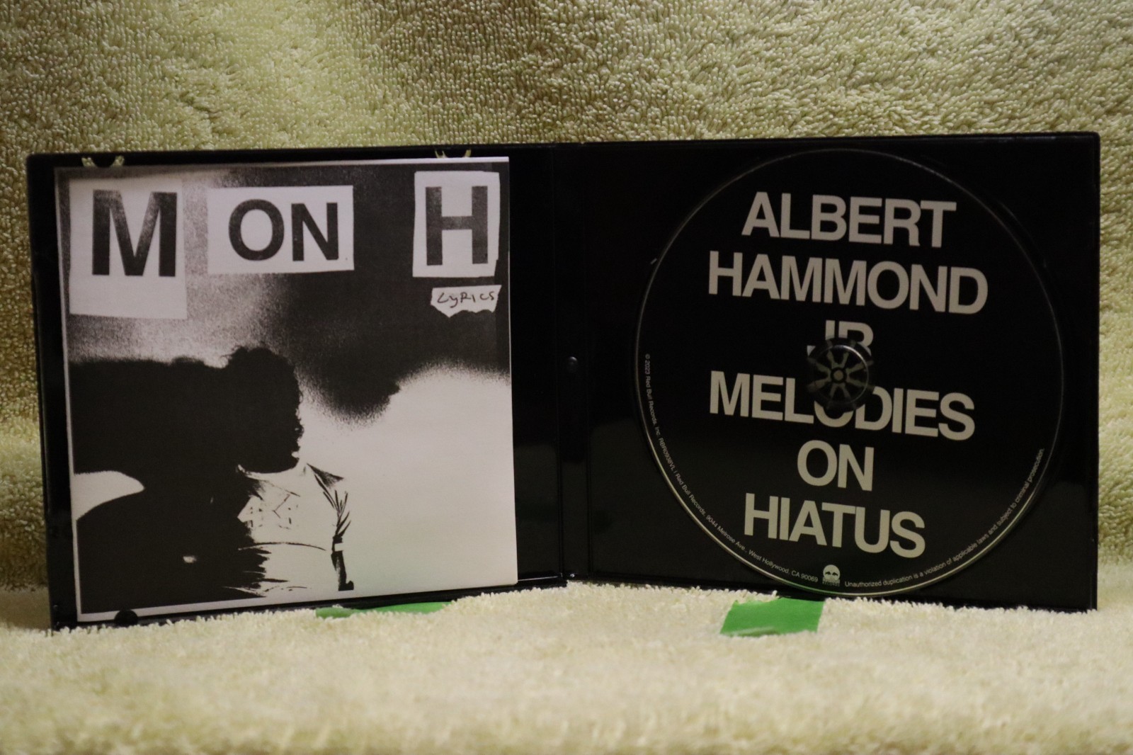 Albert Hammond Jr. Melodies on Hiatus CD