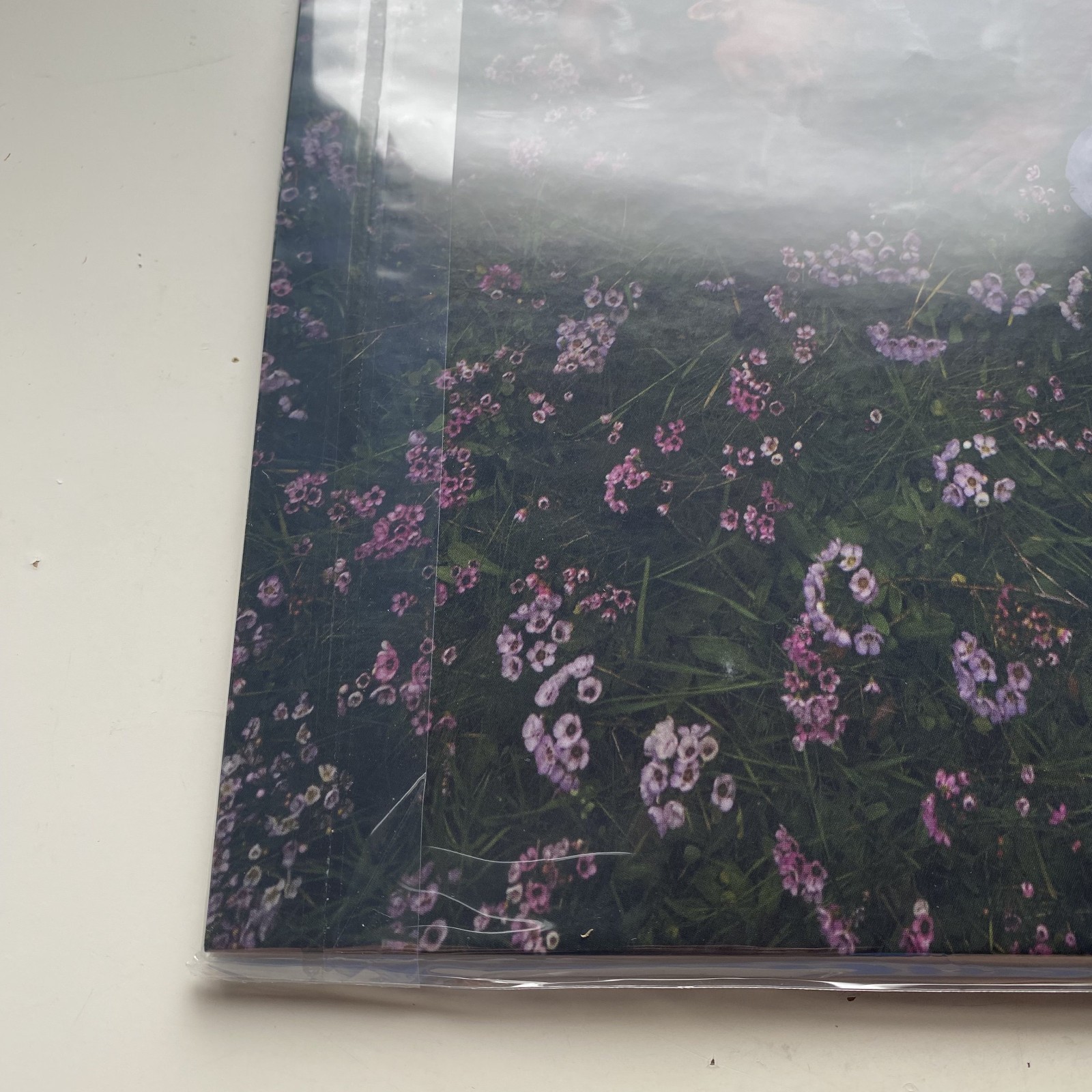 Olivia Rodrigo You Seem Pretty Sad For A Girl So In Love Japan Deluxe Edition