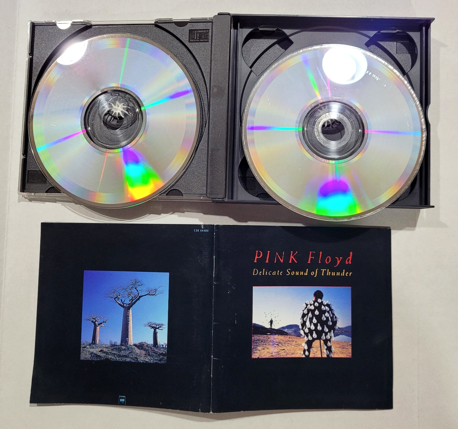 Pink Floyd - Delicate Sound of Thunder Live (2 CD Set, 1988 CBS Records)