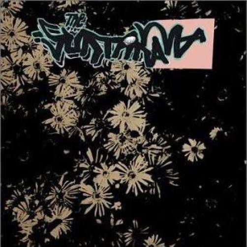 The Suntanama - Another (CD, Album) (Very Good Plus (VG+)) - 4059050542