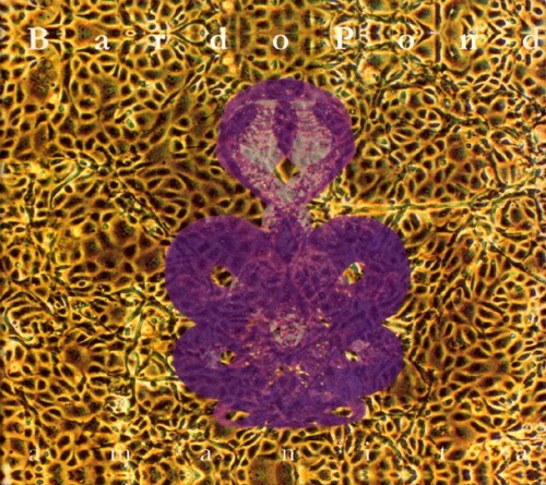 Amanita- Bardo Pond (CD, 1996, Matador (record label) V.G +