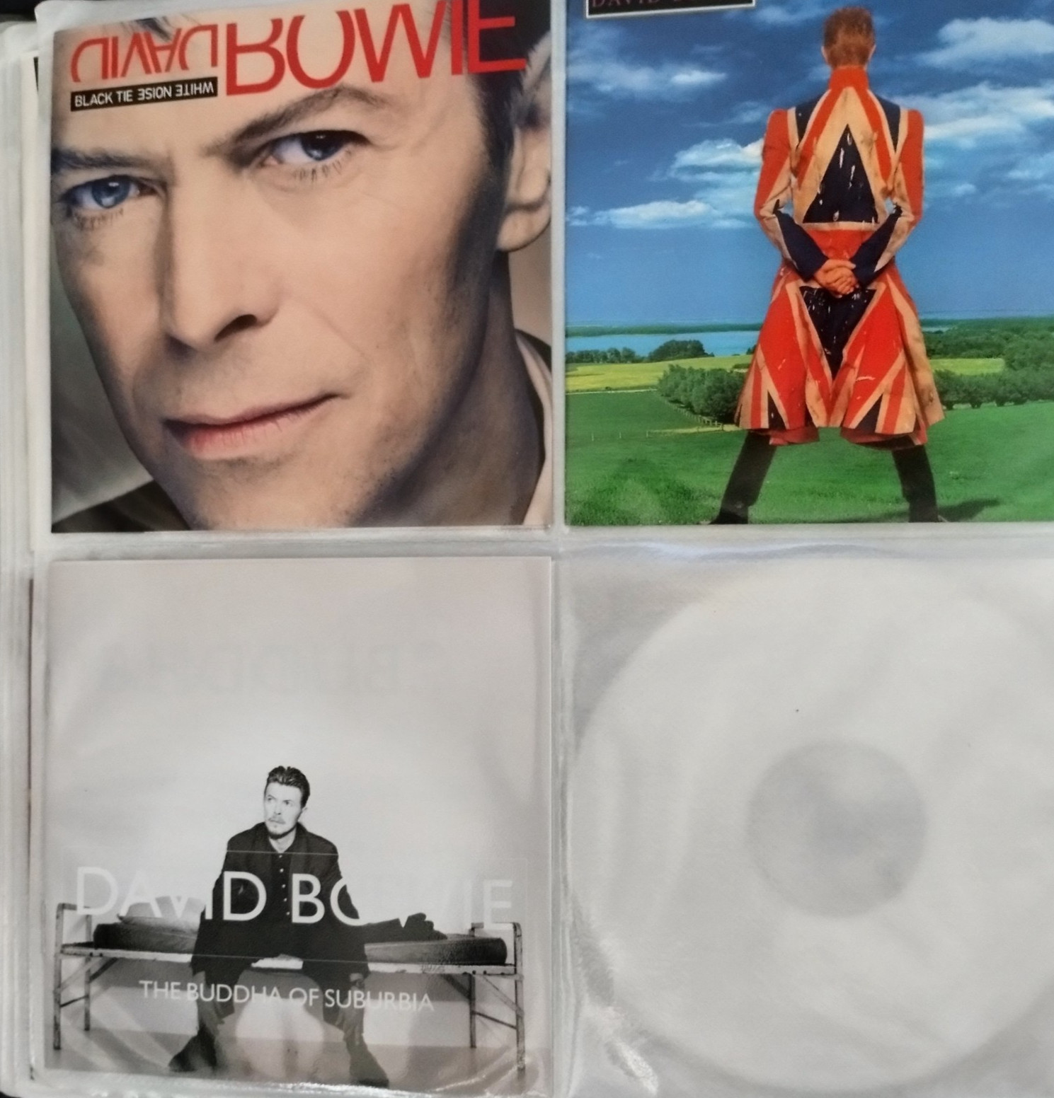 Massive DAVID BOWIE CD Collection / Includes Original Discs, Box Sets, Rarities!