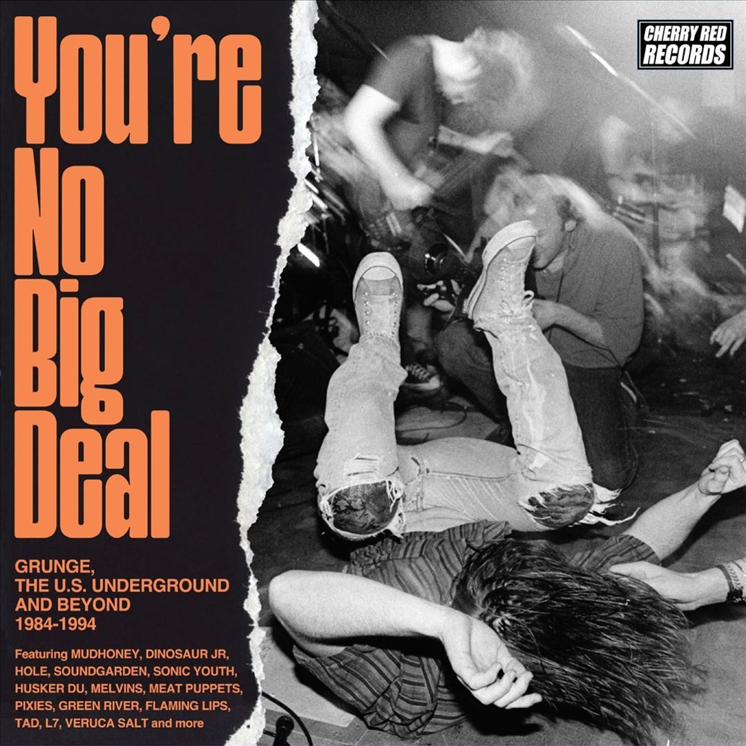 VARIOUS ARTISTS YOU’RE NO BIG DEAL: GRUNGE, THE US UNDERGROUND AND BEYOND 1984-1