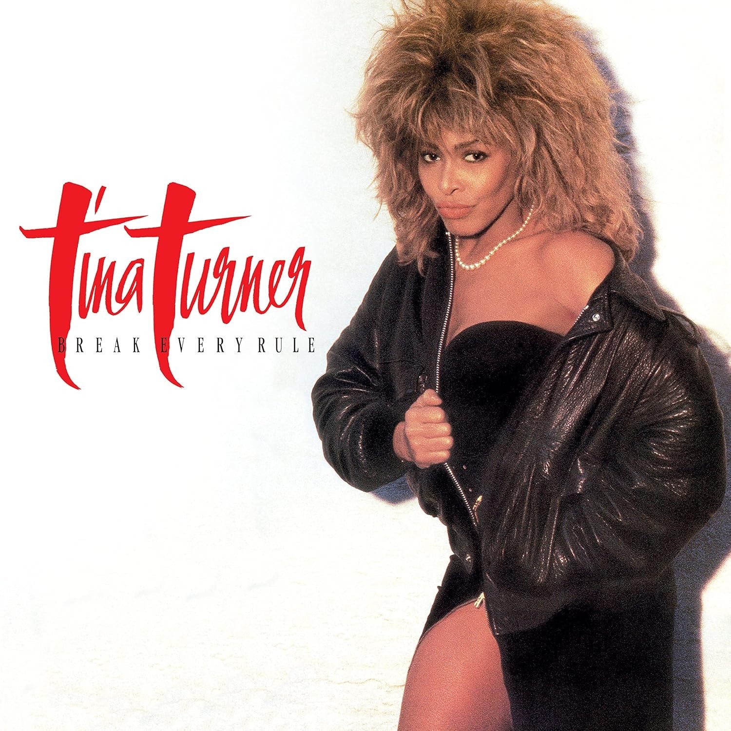 Tina Turner – Break Every Rule 3 CD + 2 DVD Box Set - NEW