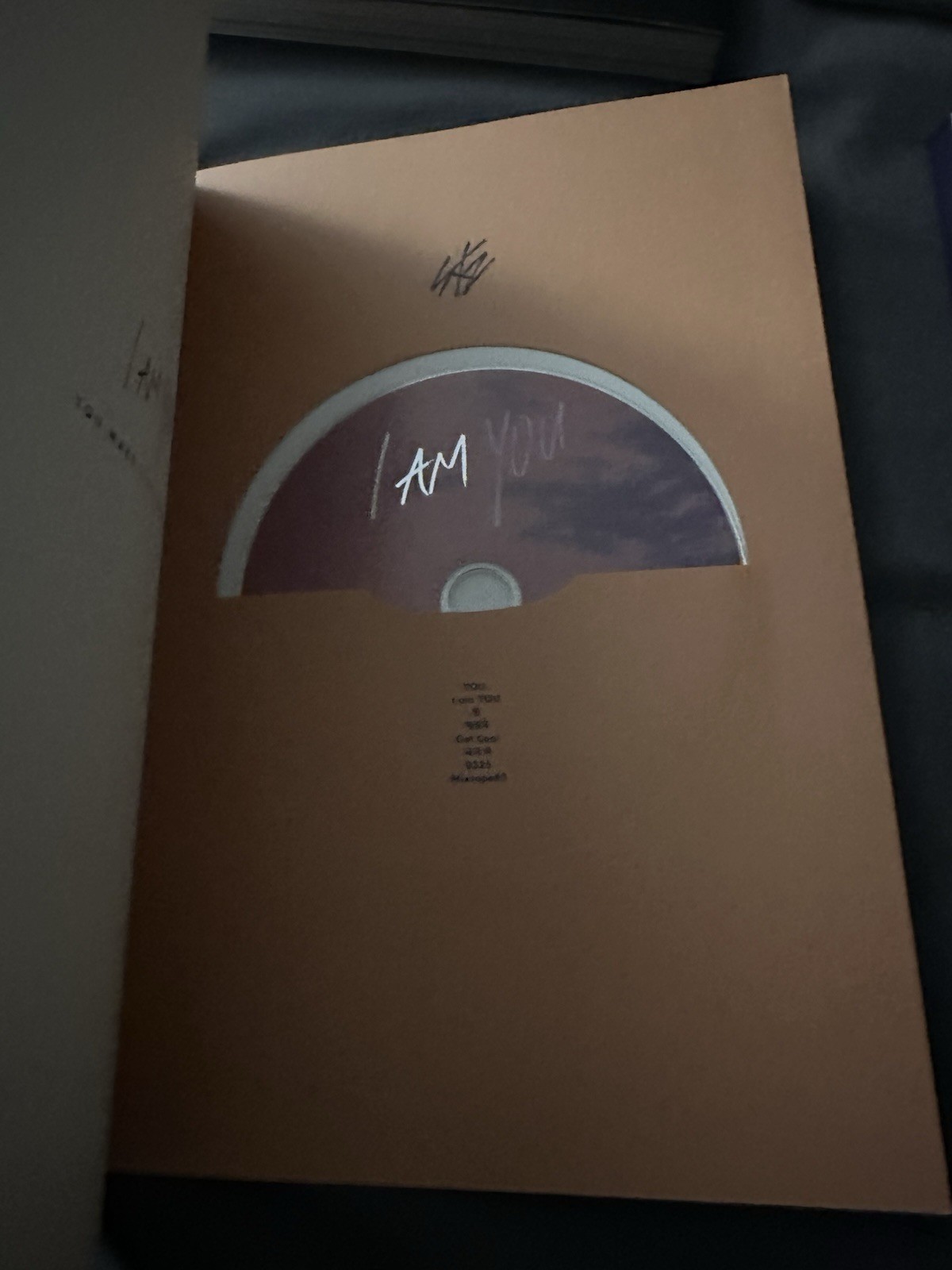 Stray Kids Mixed Album Lot- I Am You/I Am Not/Mixtape With Shown Photocards Only
