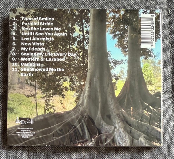 Doug Gillard - Parallel Stride (CD, Album) (Mint (M)) - 4142539689