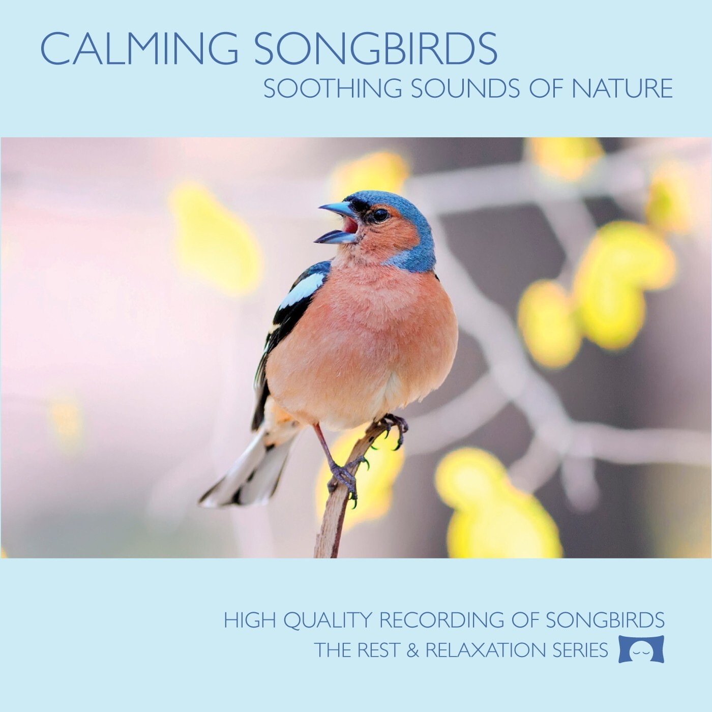 Calming Songbirds - Soothing Sounds of Nature, Relaxation & Meditation - Used