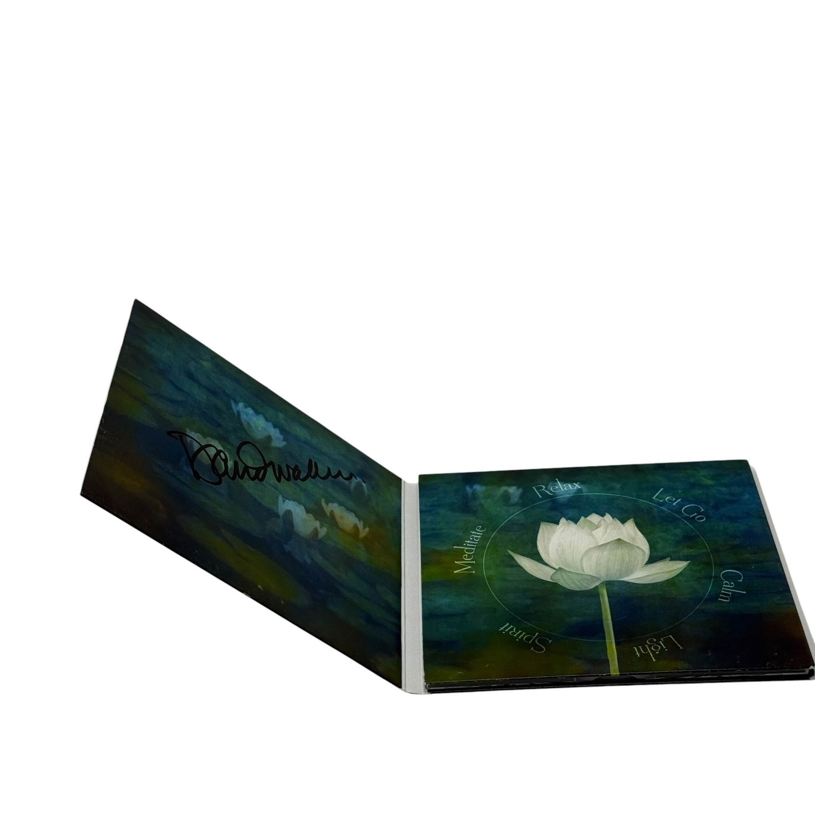 David Wahler Spiritus CD 2015 Signed New Age Meditation Yoga Music Digipak