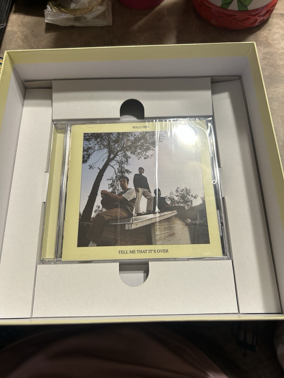 Wallows Tell Me That It's Over Rock Album CD Jewel Case (Standard)