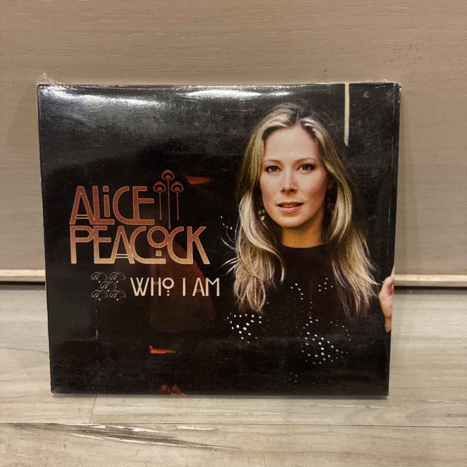 ALICE PEACOCK - Who I Am, Here I go Again, 2006 Singer Songwriter CD, NEW