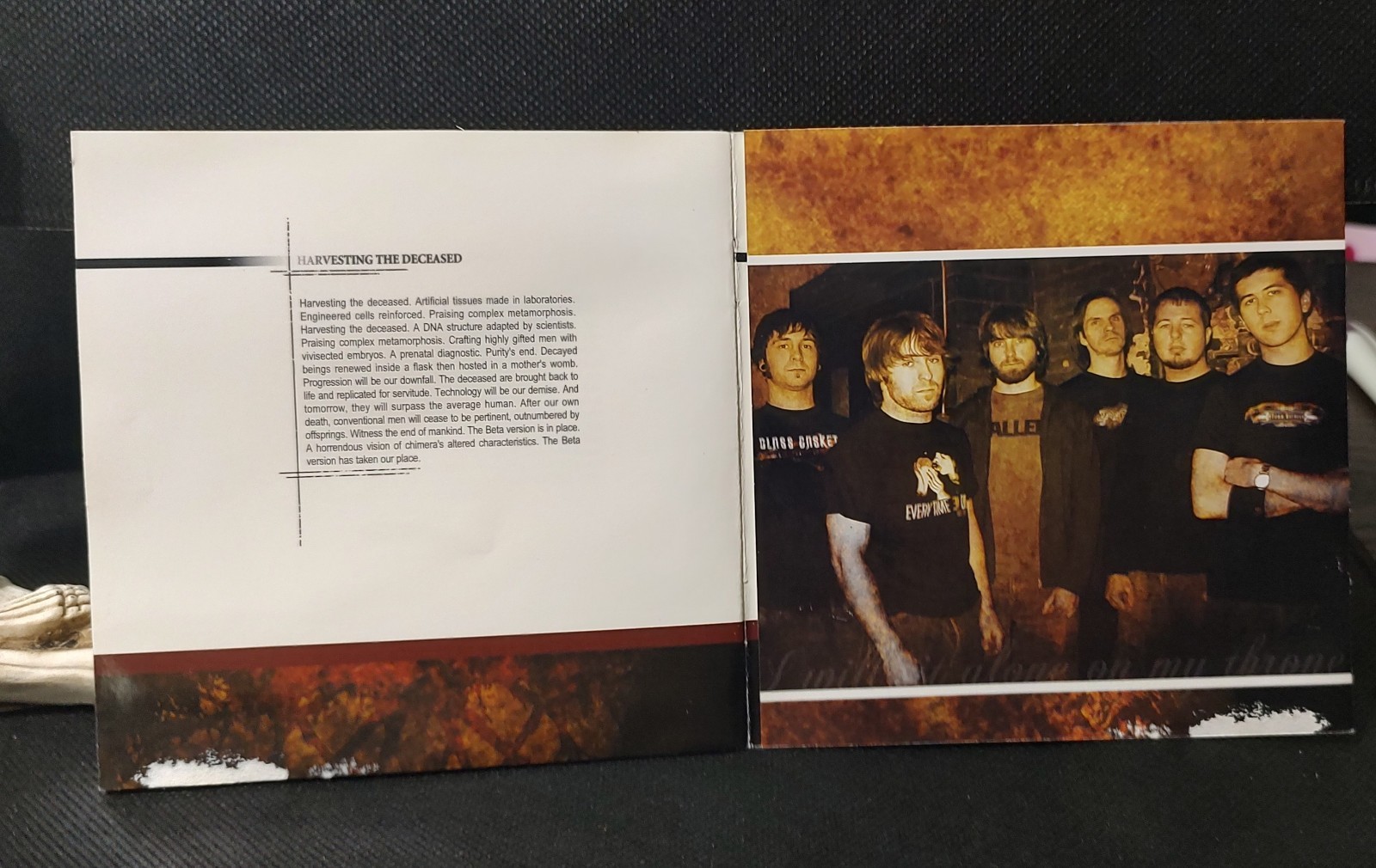 DESPISED ICON, The Healing Process. METAL CD FROM 2005