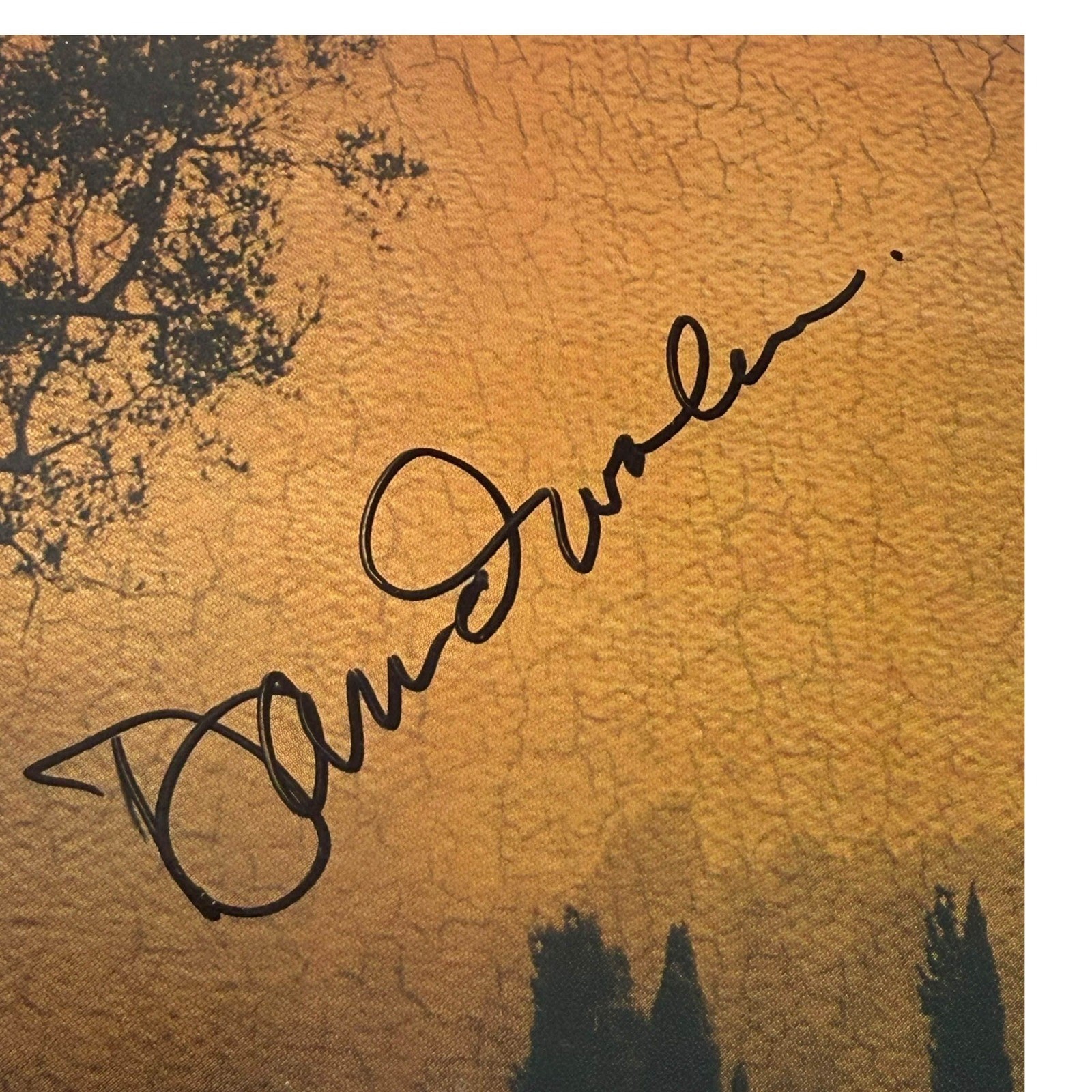 David Wahler Antiquus CD Signed Booklet New Age Meditative Music 2009 GOOD