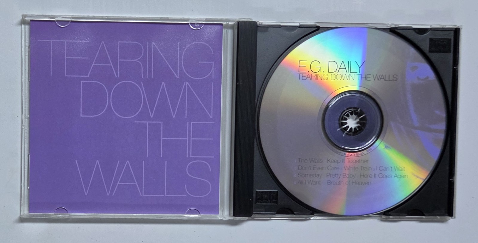E.G. Daily - Tearing Down the Walls (CD, 1999)