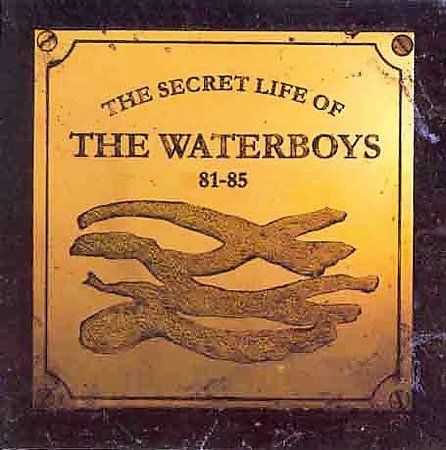 The Secret Life of the Waterboys 81-85 by The Waterboys (CD, Feb-1995,...