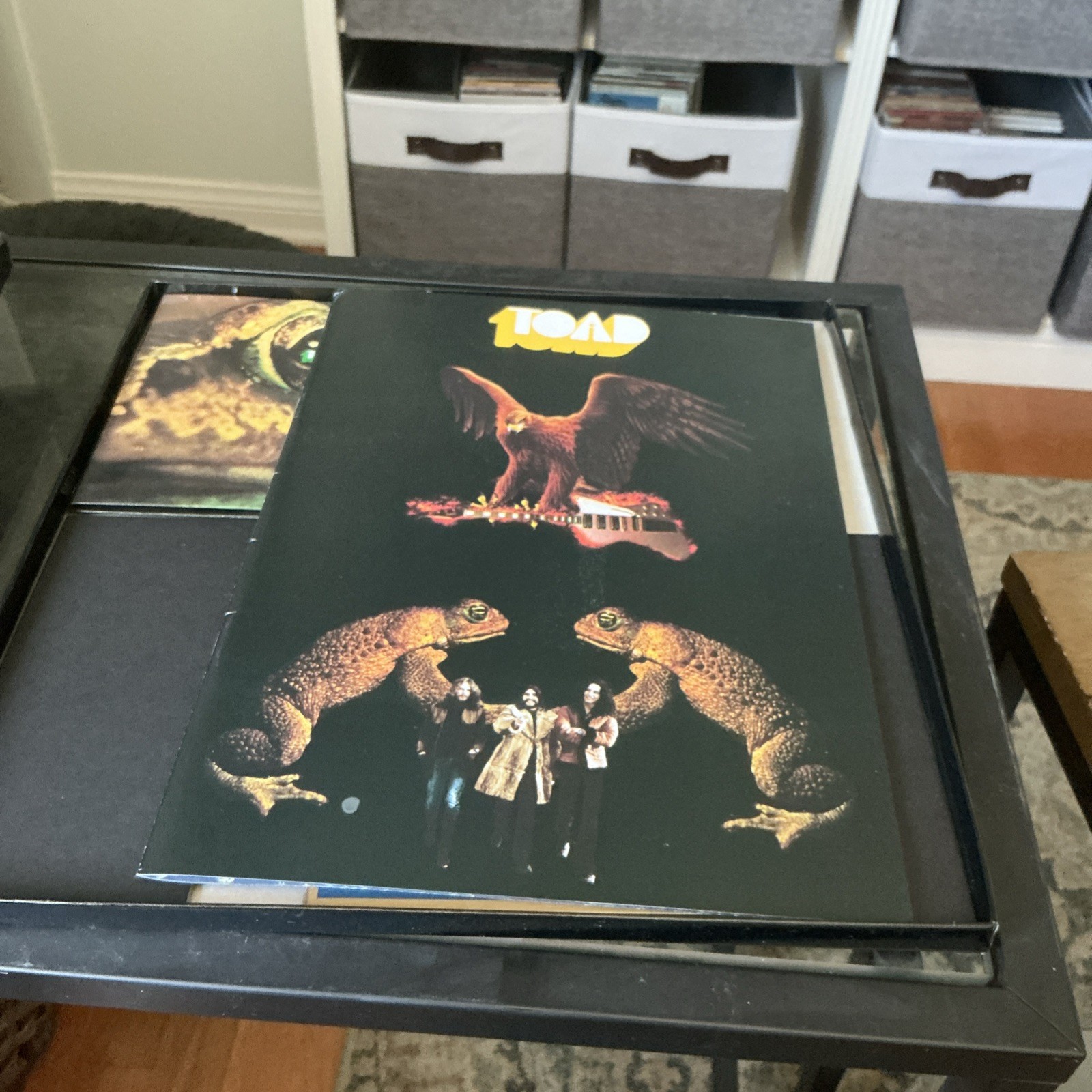 Toad- Toad Tomorrow Blue Dreams CD Box Set