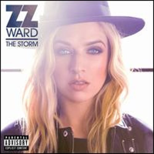 The Storm by ZZ Ward: Used