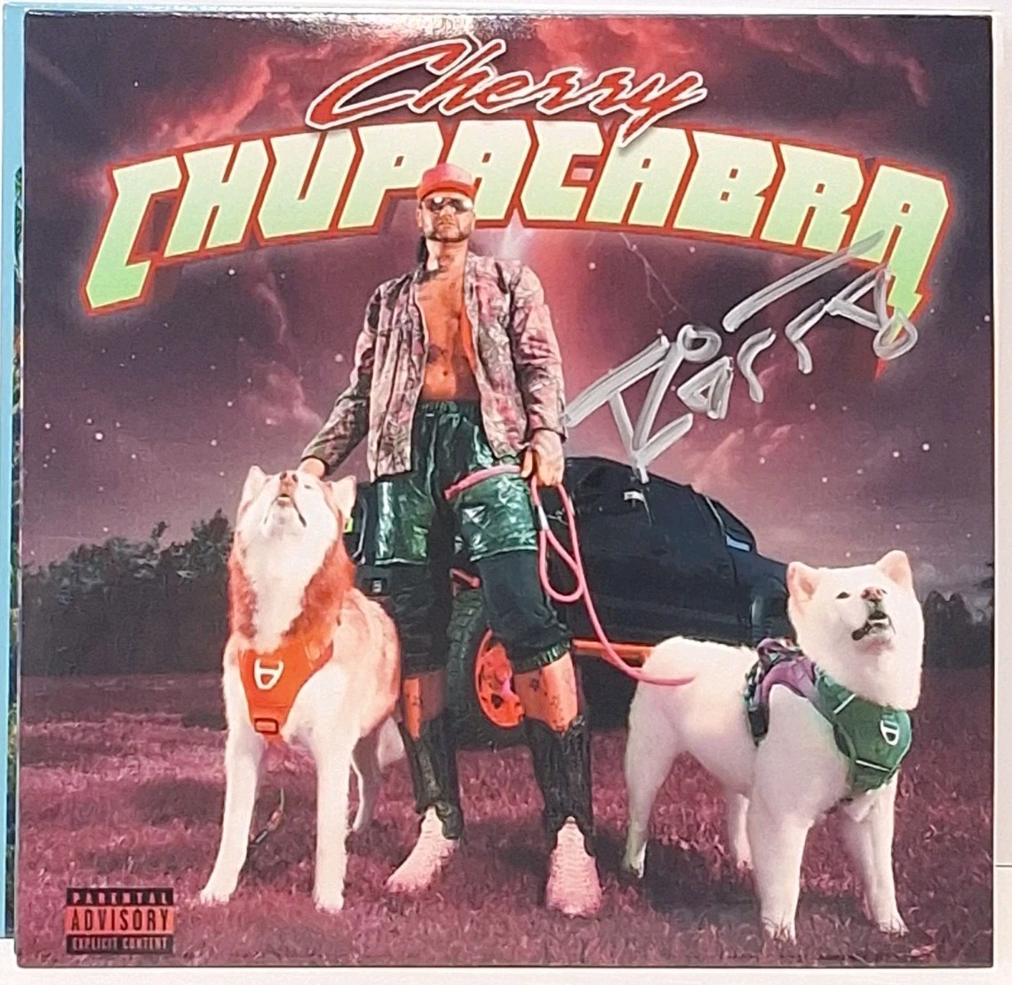 Riff Raff CD Lot 10 Excellent Condition VG+/EX/NM/M Signed Tested Fast Shipping