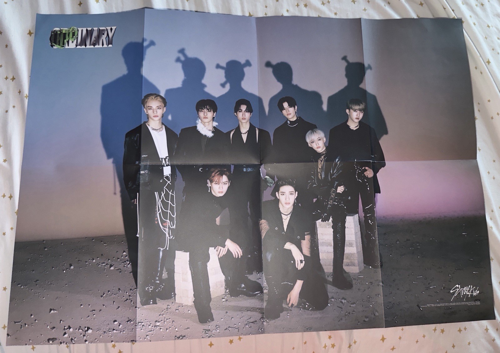 Stray Kids Bundle