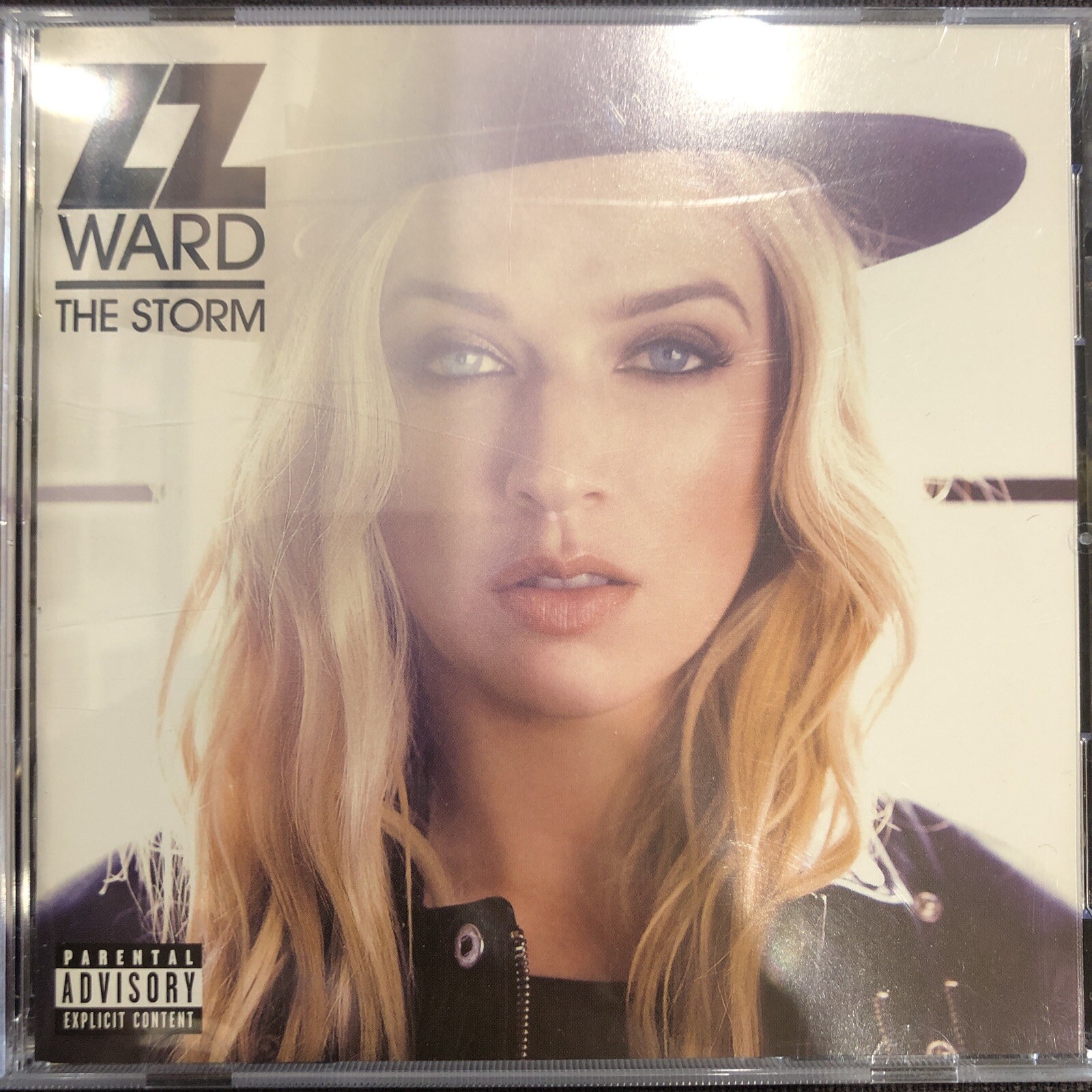 The Storm by Ward, Zz (CD, 2017)