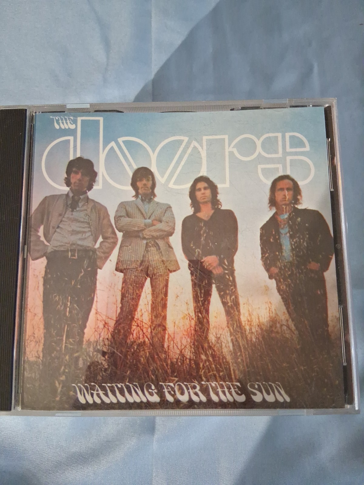 The Doors Cd Lot 10 Album Lot