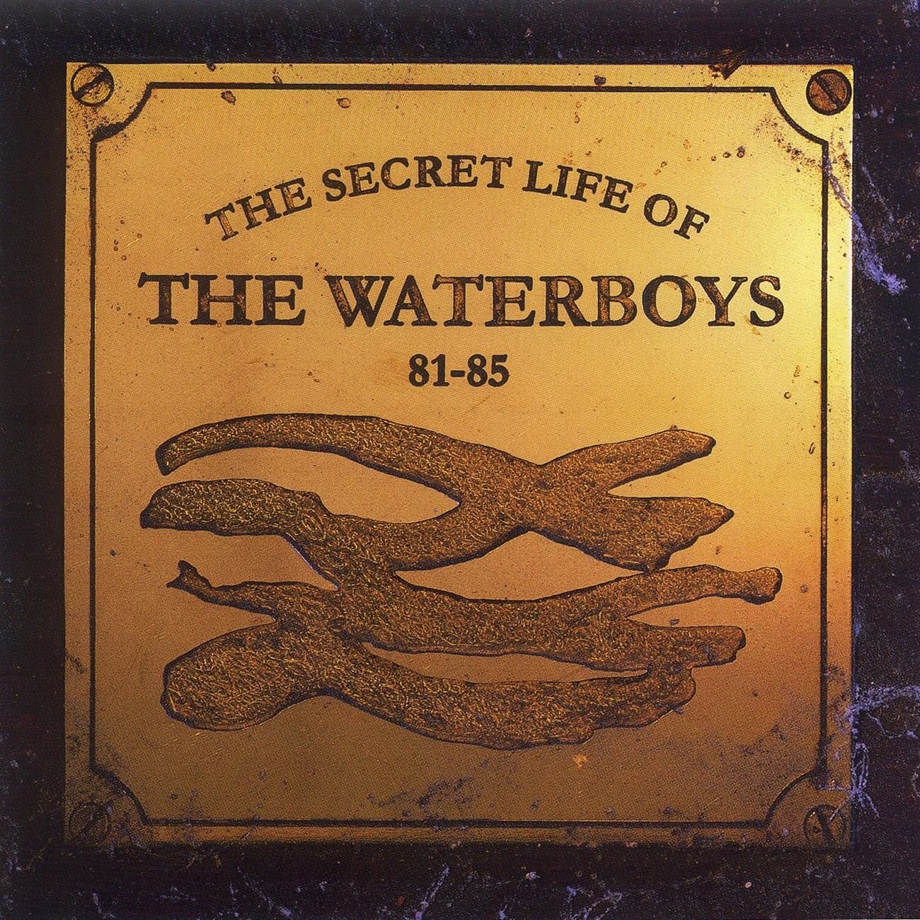 Waterboys, Secret Life of the Waterboys 81-85, audioCD