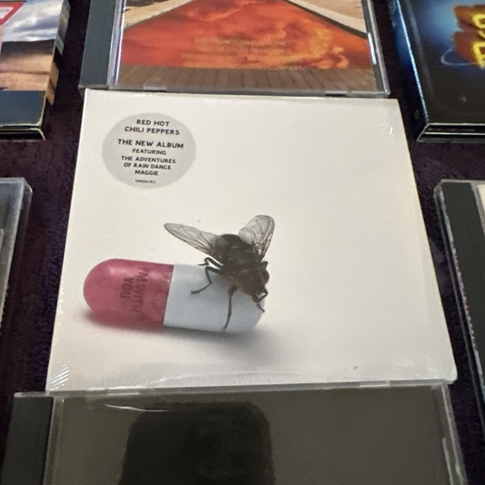 Lot Of 10 1990s Rock Cds Nirvana Primus Tool Pearl Jam RHCP Grunge