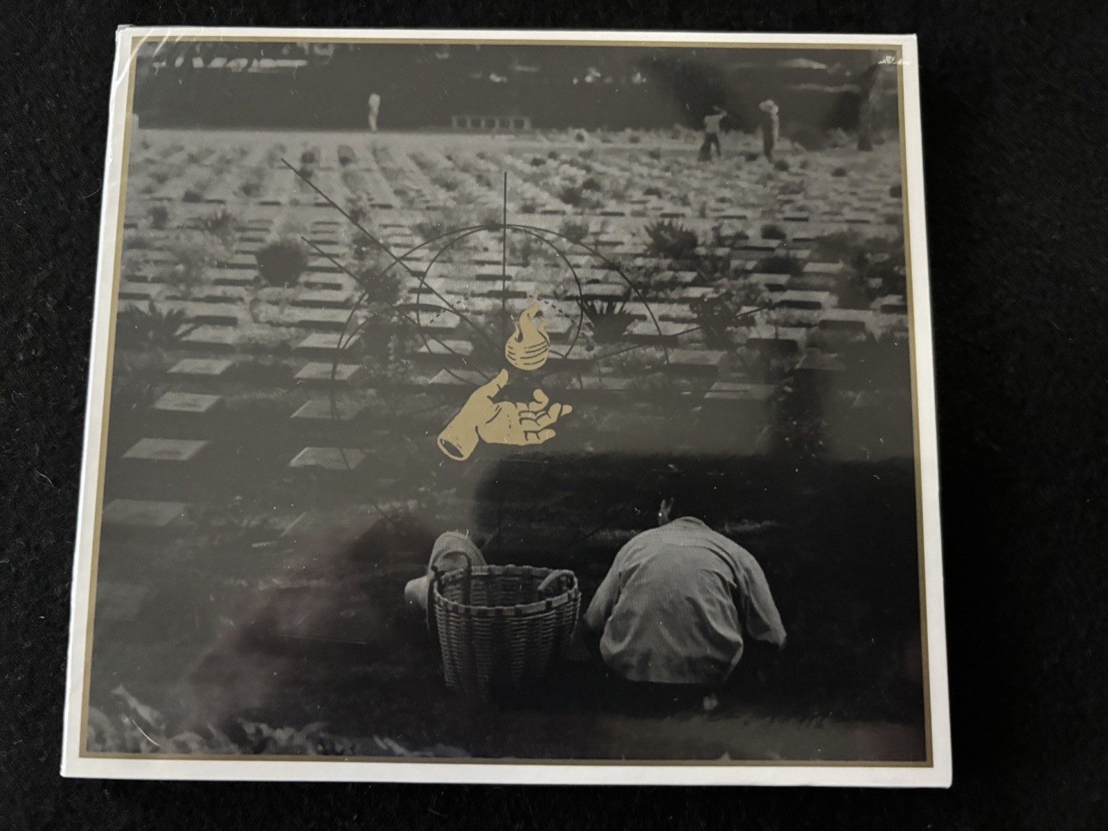 Royal Coda Self Titled CD - Ltd Gold Ink) FFO: Kurt Travis, Dance Gavin Dance)