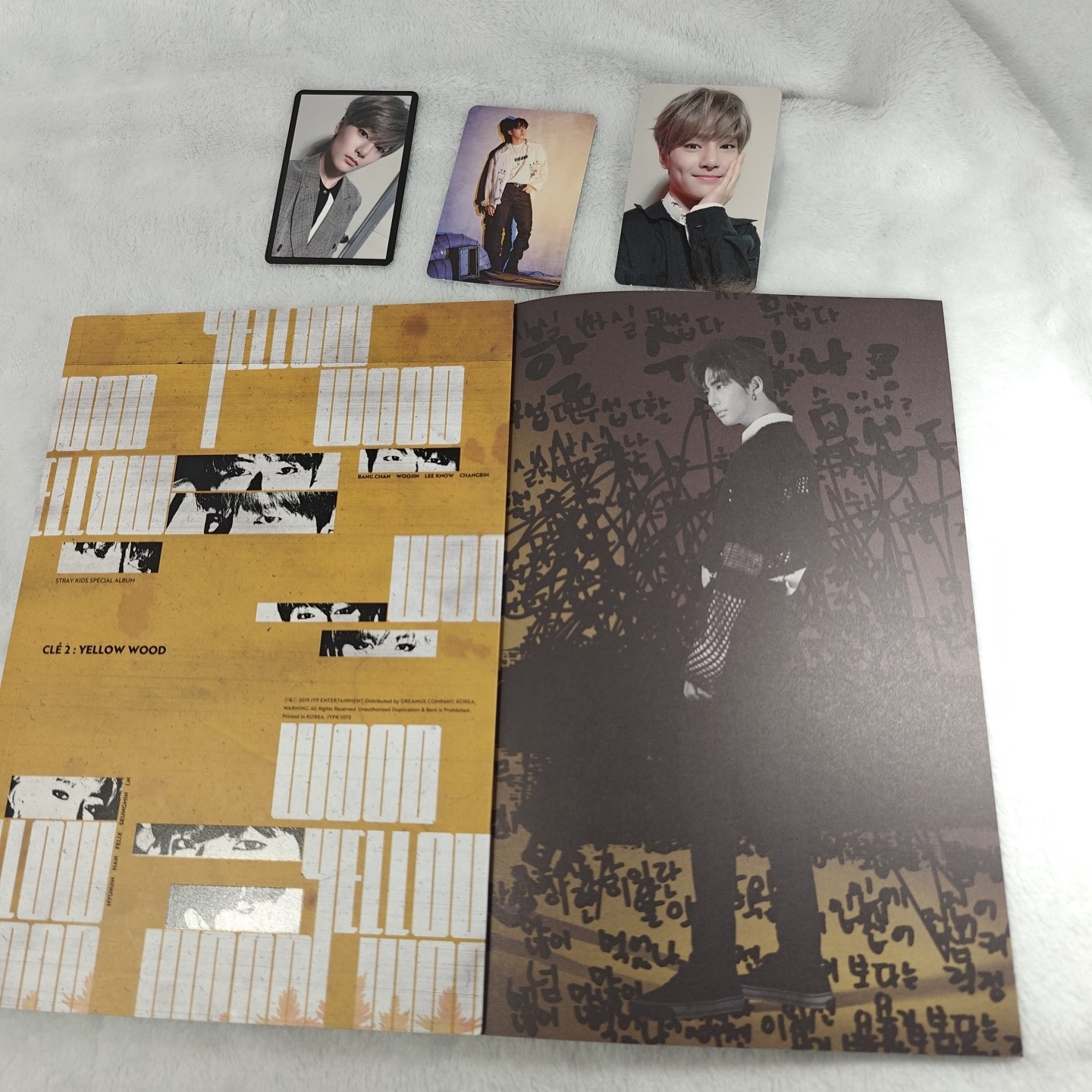 Stray Kids I Am You And Yellow Wood Albums With Photocards
