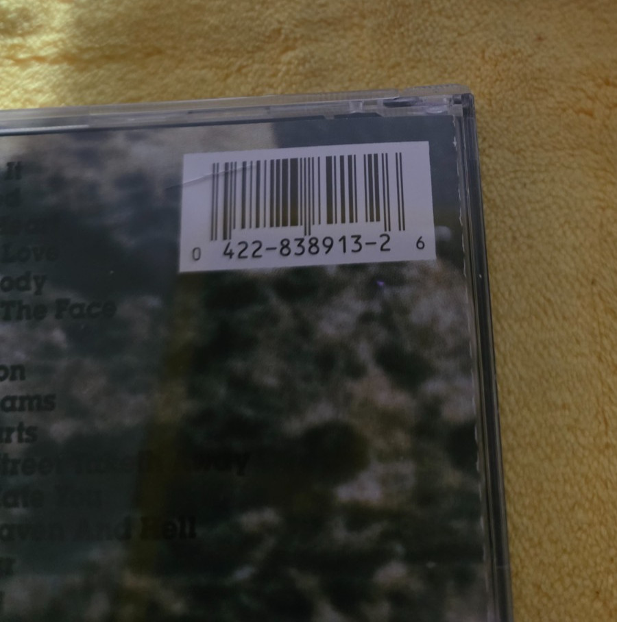 KISS HOT IN THE SHADE CD