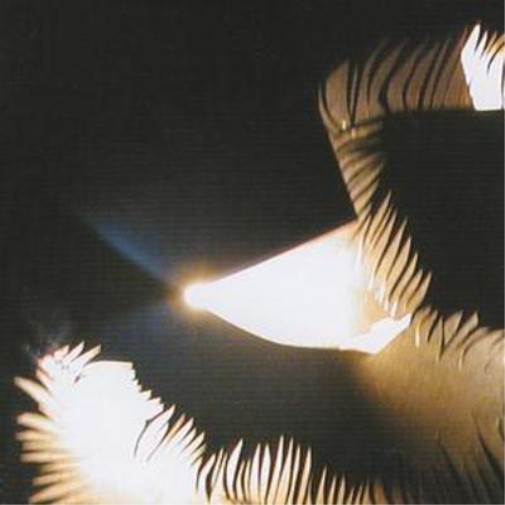 Double Loose in the Air (CD) Album (UK IMPORT)