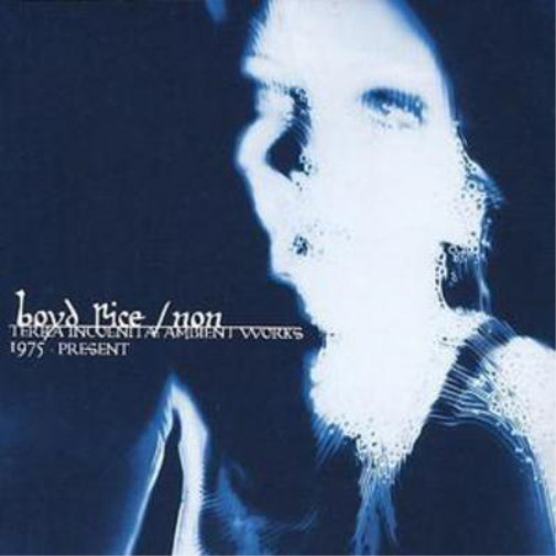 Non Terra Incognita: Ambient Works 1975-present (CD) Album (UK IMPORT)
