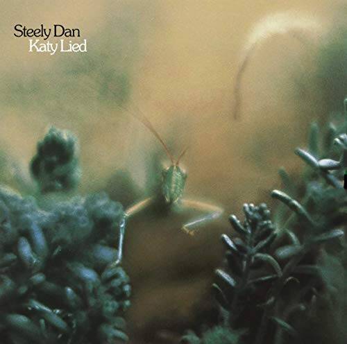 Katy Lied - Audio CD By Steely Dan - GOOD