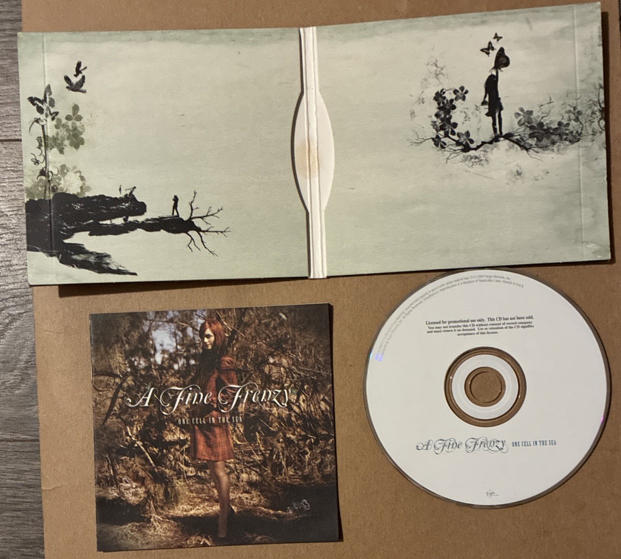 A FINE FRENZY - ONE CELL IN THE SEA AUDIO CD DIGIPAK Virgin EMI Records 2007
