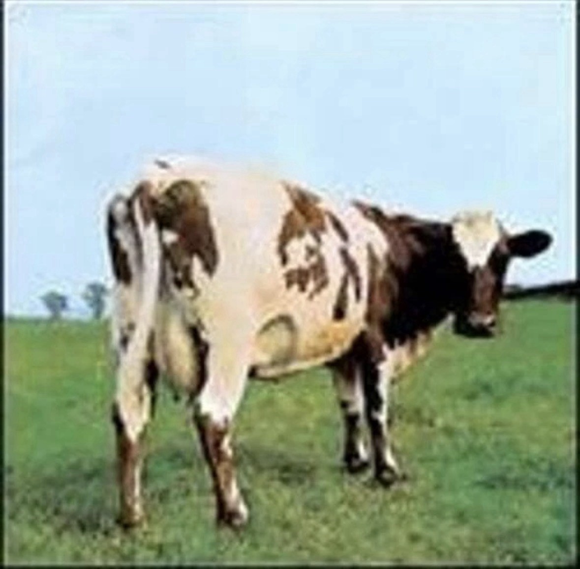 Atom Heart Mother by Pink Floyd: Used