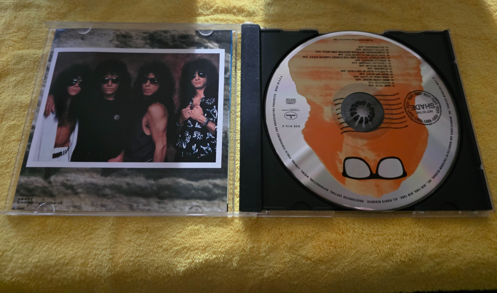 KISS HOT IN THE SHADE CD