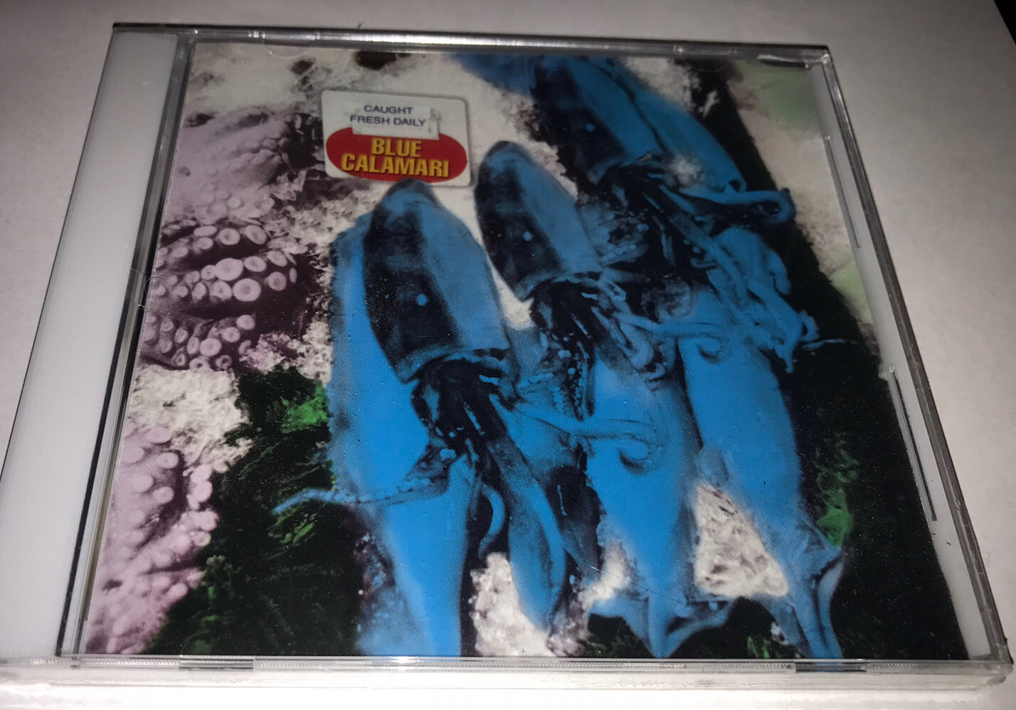 New Sealed Blue Calamari Caught Fresh Daily Cd North Carolina