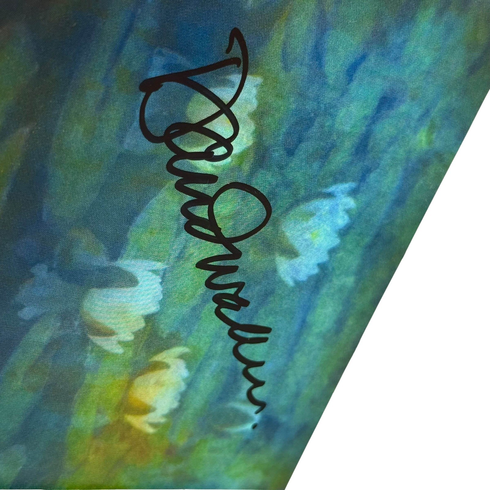 David Wahler Spiritus CD 2015 Signed New Age Meditation Yoga Music Digipak