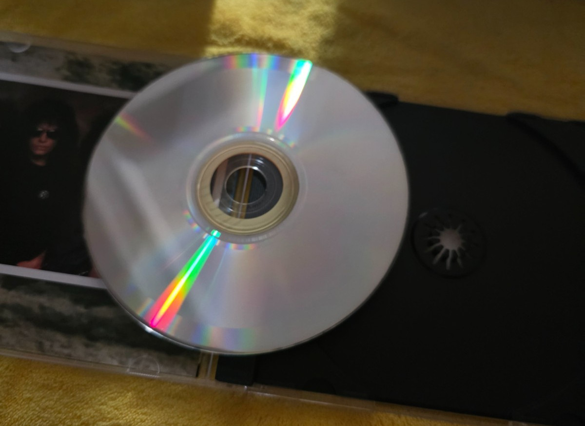 KISS HOT IN THE SHADE CD