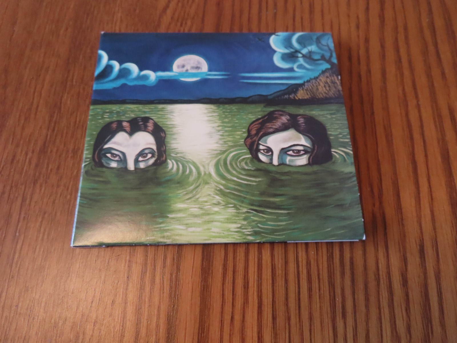 Drive-By Truckers : English Oceans CD (2014)