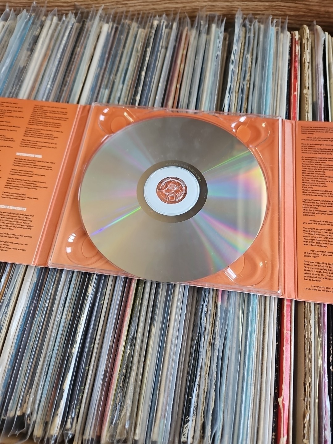 Widow City by The Fiery Furnaces (CD, 2007,Thrill Jockey)