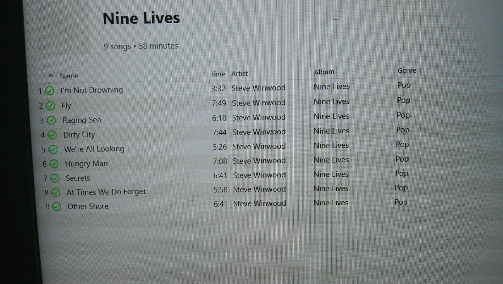 Steve Windwood - Nine Lives (US 2008 CD) Used, Tested, Free S/H