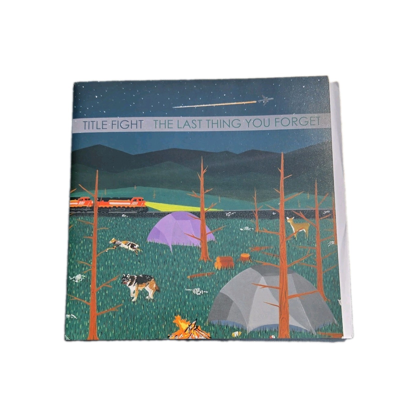 Title Fight - The Last Thing You Forget 7” Inch Vinyl EP Record